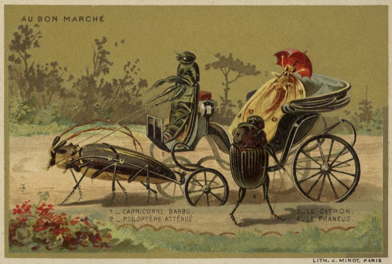 Au Bon Marche kártyák antropomorf rovarokkal alkotó: French School