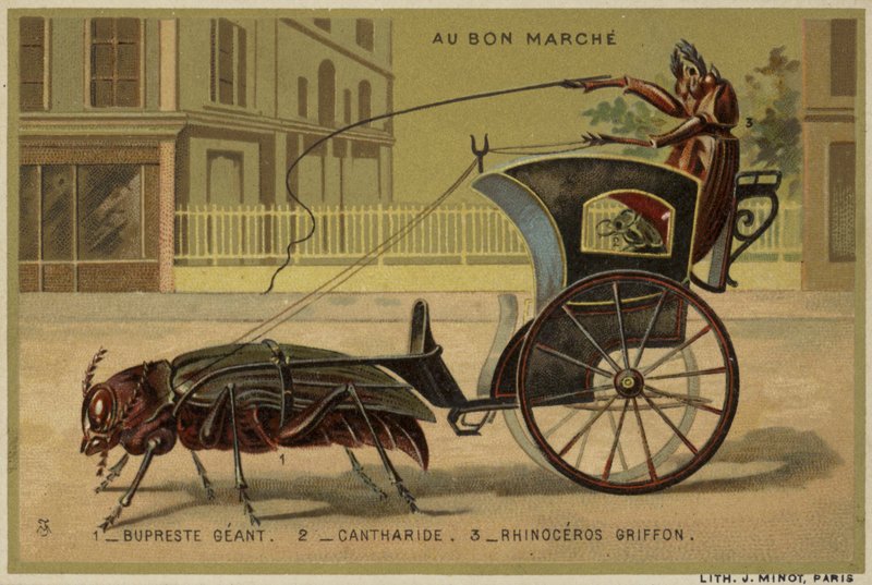 Au Bon Marche kártyák antropomorf rovarokkal alkotó: French School