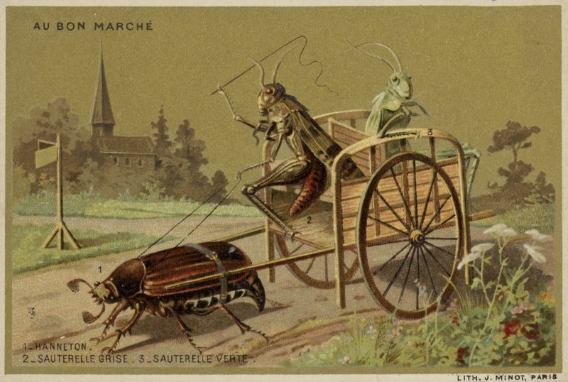 Au Bon Marche kártyák antropomorf rovarokkal alkotó: French School