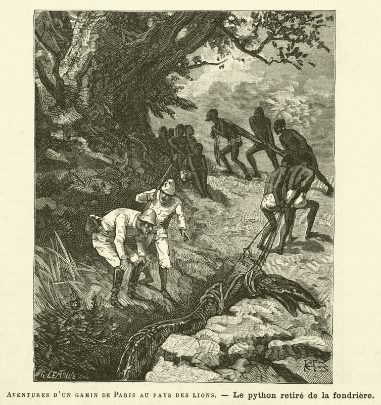 Egy párizsi fiú kalandjai az oroszlánok földjén (metszet) alkotó: French School