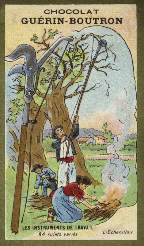 Hernyózó olló alkotó: French School