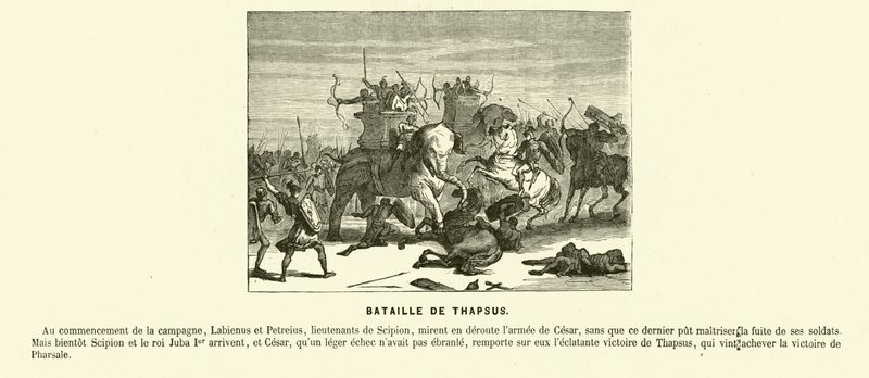 Thapsus-i csata, Észak-Afrika, Caesar polgárháborúja, ie 46 (metszet) alkotó: French School