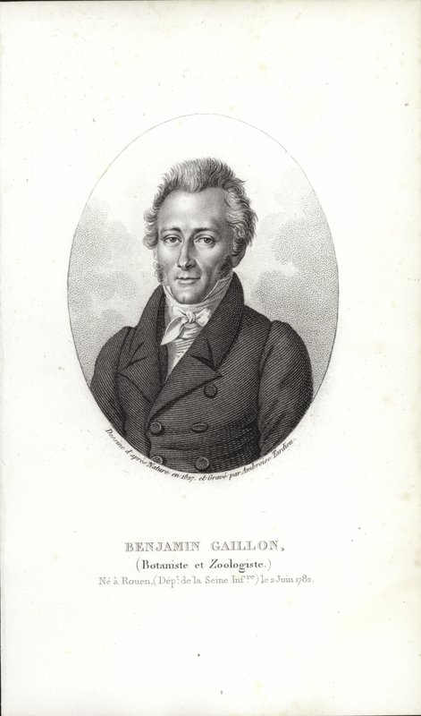 Benjamin Gaillon alkotó: French School