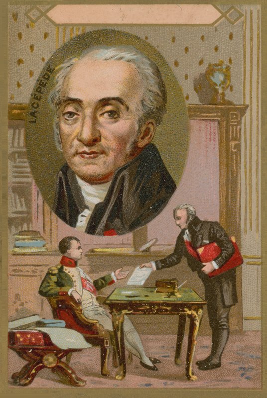 Bernard Germain de Lacepede francia természettudós (1756-1825) alkotó: French School