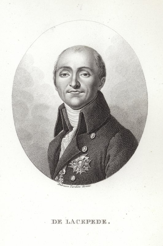 Bernard Germain de Lacepede alkotó: French School