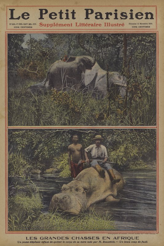 Nagyvadvadászat Afrikában (színes litho) alkotó: French School