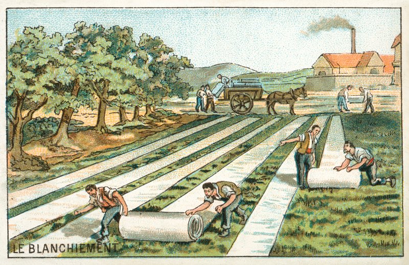 Fehérítés (chromolitho) alkotó: French School