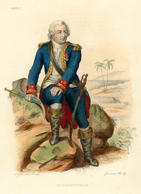 Bougainville (színes metszet) alkotó: French School