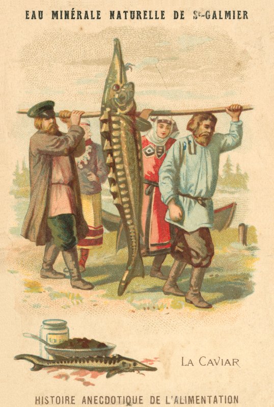 Kaviár (chromolitho) alkotó: French School