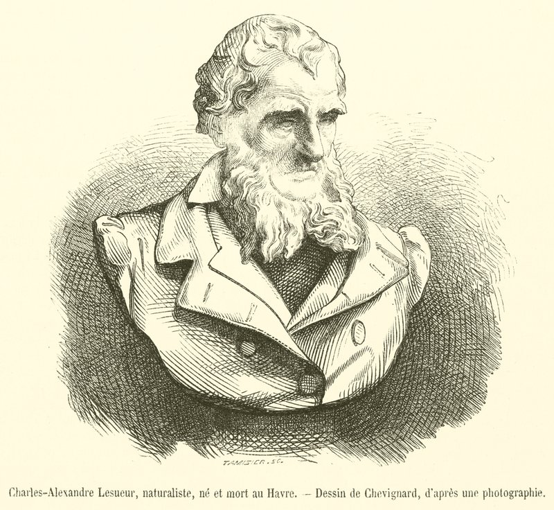 Charles-Alexandre Lesueur természettudós, Le Havre-ban született és halt meg (metszet) alkotó: French School