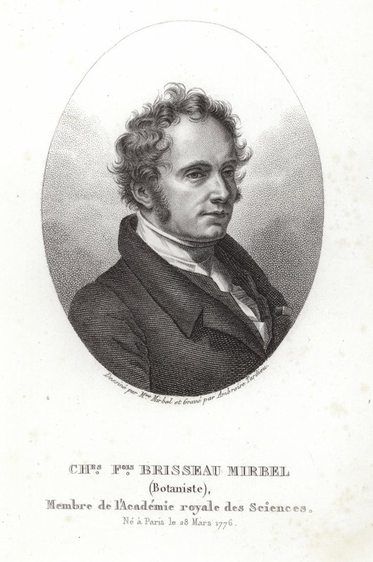 Charles-Francois Brisseau de Mirbel alkotó: French School