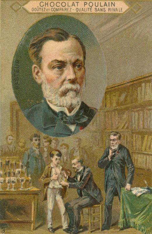 Csokoládé Poulain kereskedelmi kártya, Louis Pasteur alkotó: French School