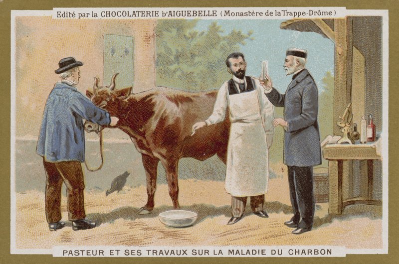 Chocolat dAiguebelle kereskedelmi kártya alkotó: French School
