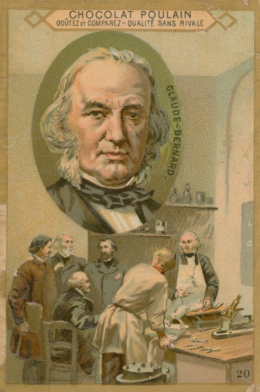 Claude Bernard, Chocolat Poulain kereskedelmi kártya alkotó: French School