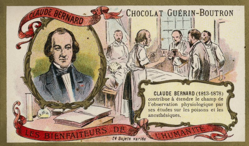 Claude Bernard francia fiziológus (chromolitho) alkotó: French School