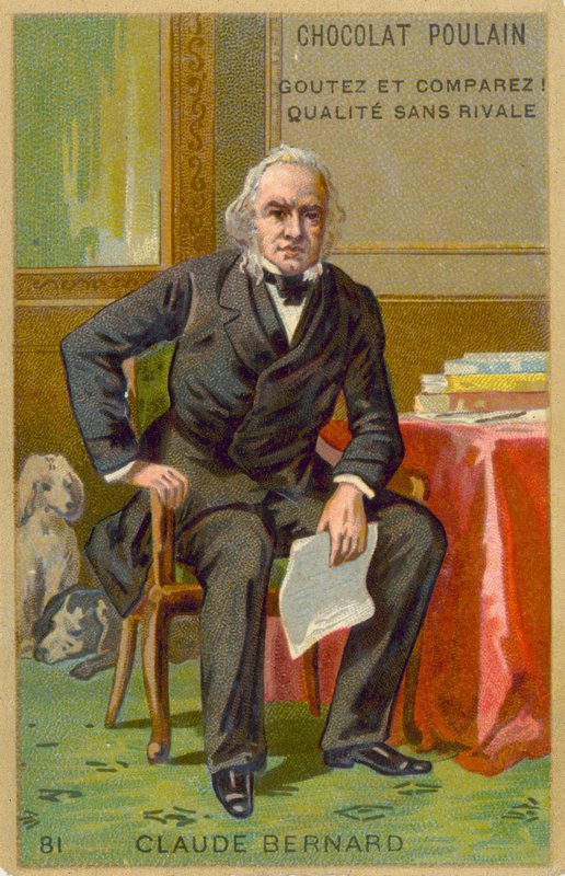 Claude Bernard francia fiziológus alkotó: French School