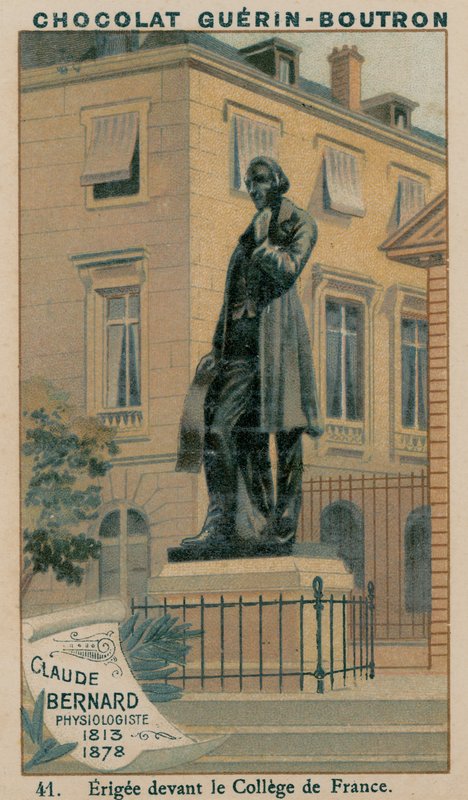 Claude Bernard, fiziológus, 1813-1878, a College de France előtt emelték alkotó: French School