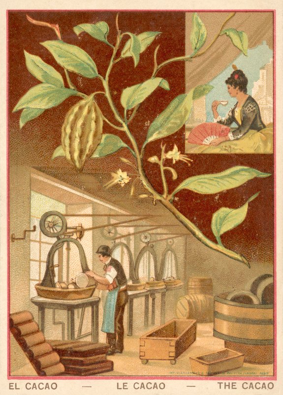 Kakaó (chromolitho) alkotó: French School