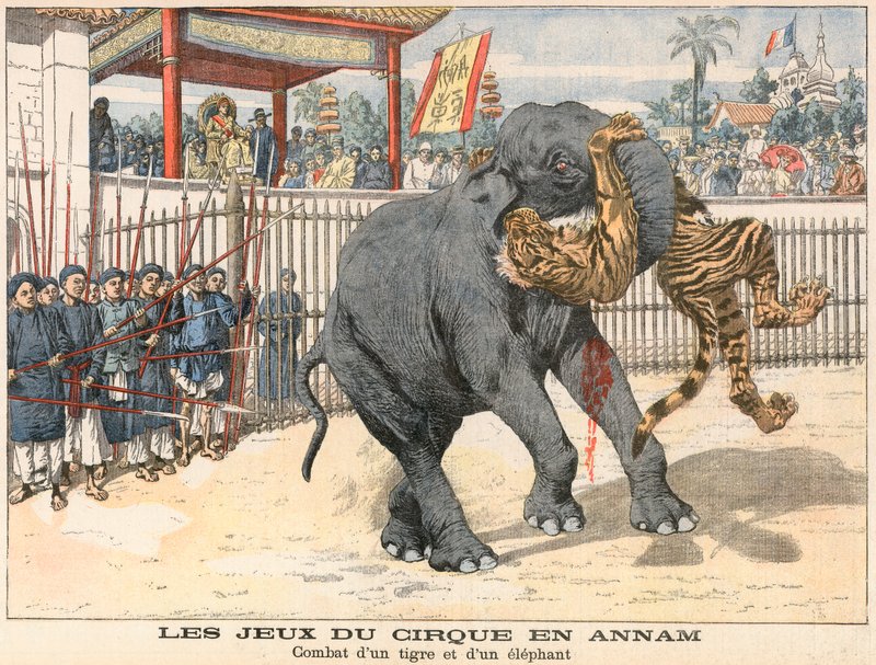 Harc egy tigris és egy elefánt között alkotó: French School