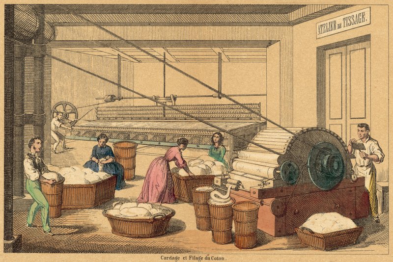 Pamut (színes gravírozás) alkotó: French School