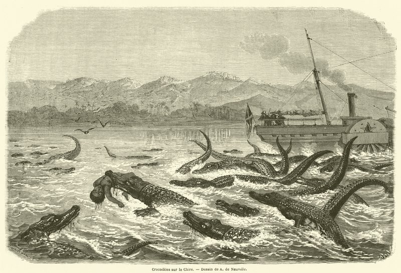 Crocodiles on the Chire (metszet) alkotó: French School