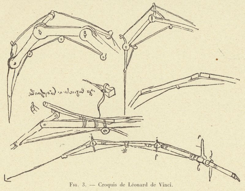 Leonardo da Vinci vázlata alkotó: French School