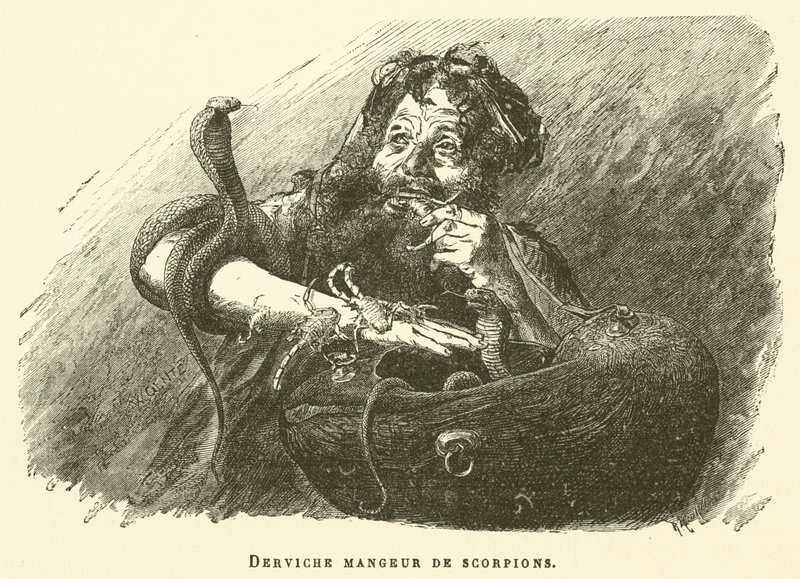 Dervish Eater Of Scorpions (metszet) alkotó: French School