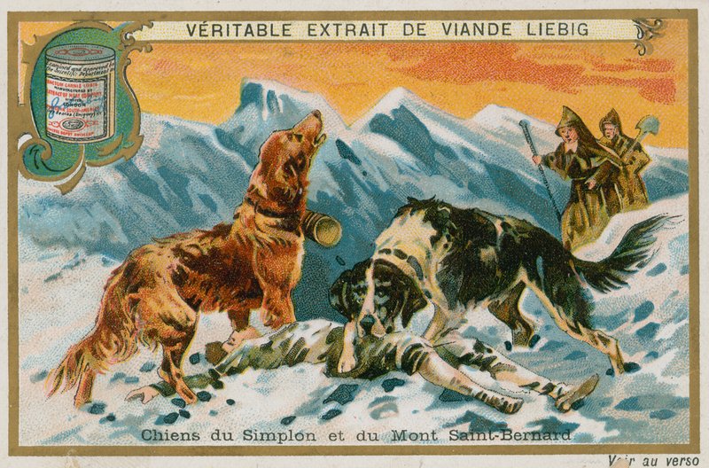 Simplon és Mont St Bernard kutyái alkotó: French School