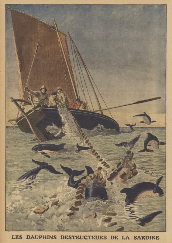 A delfinek megzavarják a szardínia fogását (színes litho) alkotó: French School