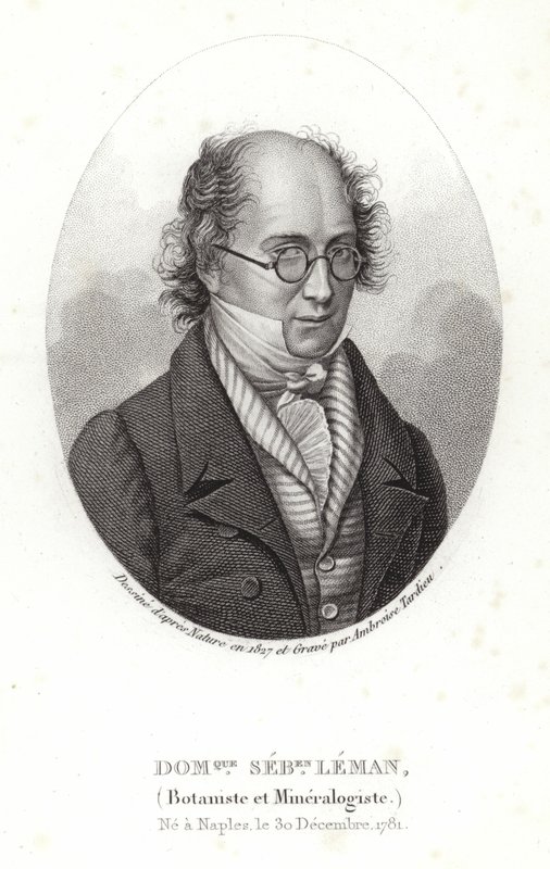 Dominique Sebastion Leman alkotó: French School