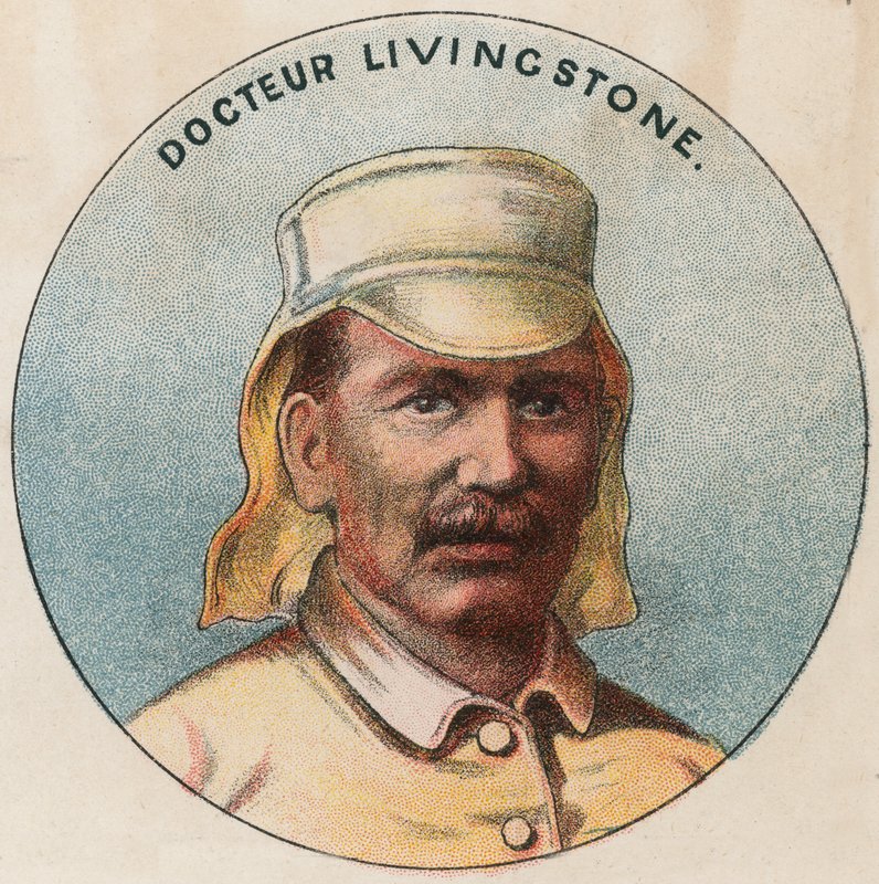 Dr. Livingstone alkotó: French School