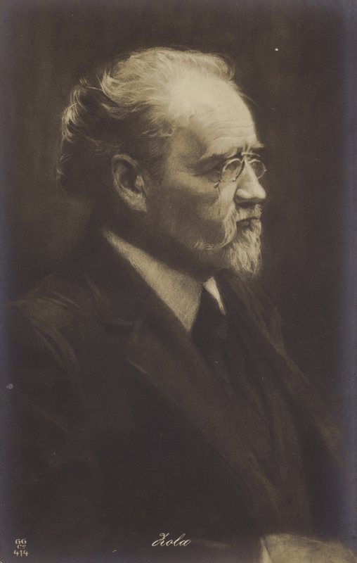 Emile Zola (1840-1902), francia regényíró, újságíró és drámaíró (litho) alkotó: French School