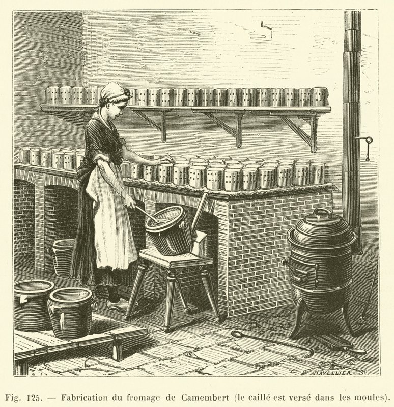 Fabrication du fromage de Camembert, le caille est verse dans les moules (engraving) alkotó: French School