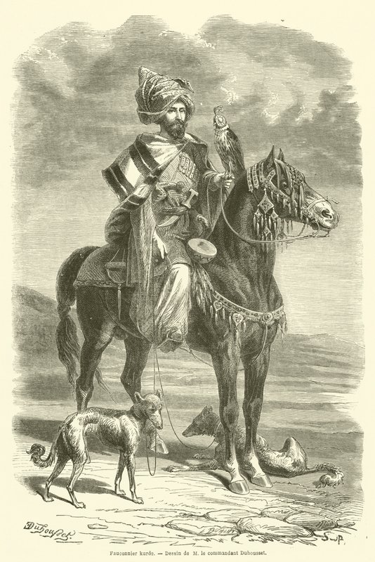 Kurd Falconer (metszet) alkotó: French School