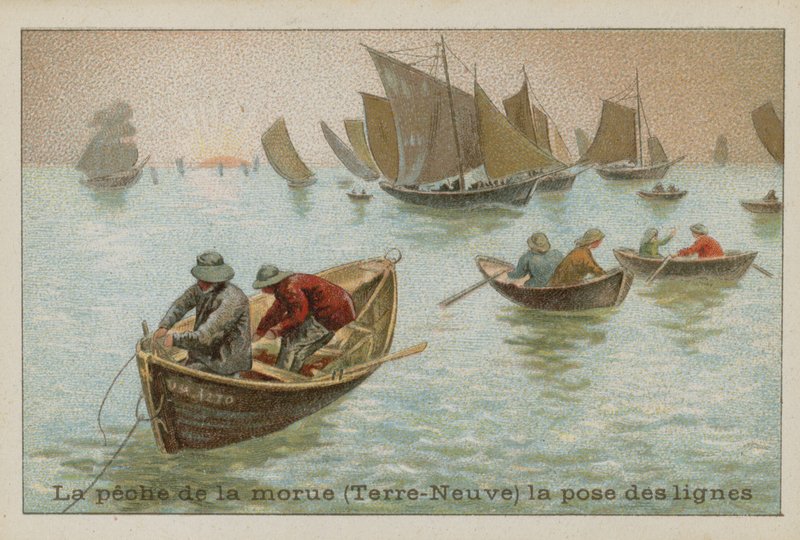 Tőkehal horgászata Új-Fundlandon - zsinórok alkotó: French School