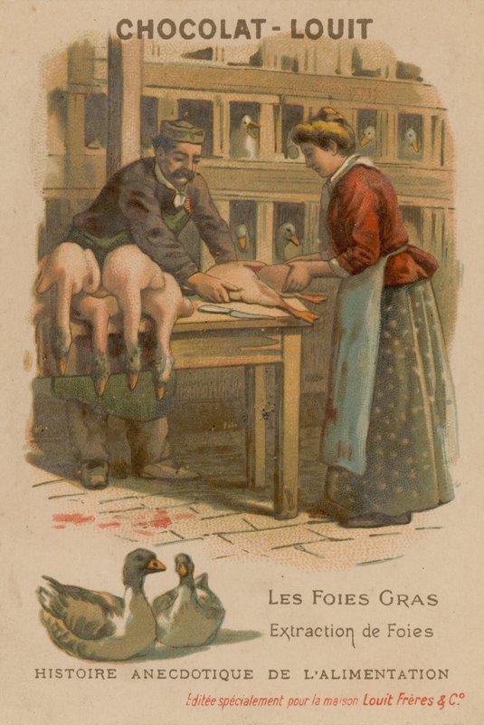 Foie gras alkotó: French School