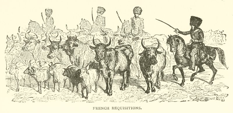 Francia igénylés (metszet) alkotó: French School