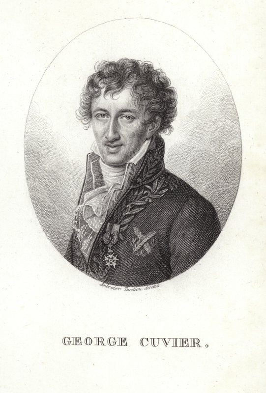 George Cuvier alkotó: French School