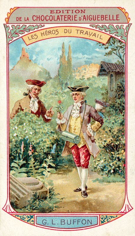 Georges-Louis Leclerc, Comte de Buffon, francia természettudós (chromolitho) alkotó: French School
