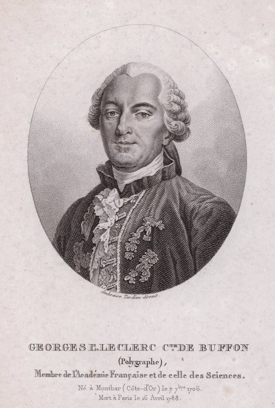Georges-Louis Leclerc, Comte de Buffon, francia tudós és író (metszet) alkotó: French School