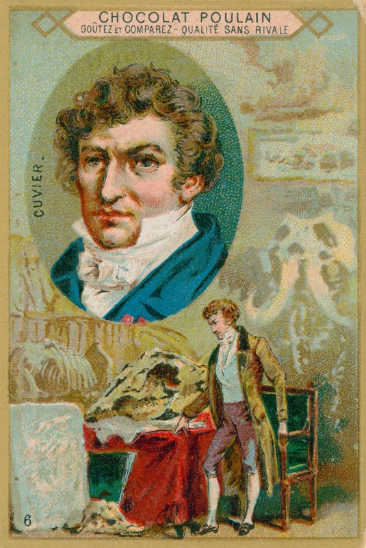 George Cuvier alkotó: French School