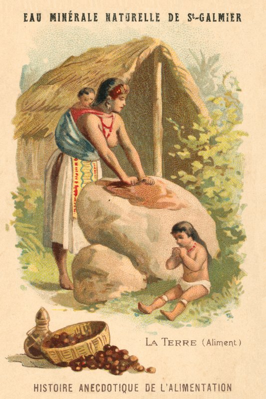 Darált dió (chromolitho) alkotó: French School