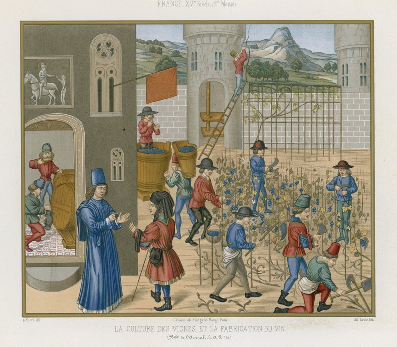 Szőlőtermesztés és borkészítés alkotó: French School