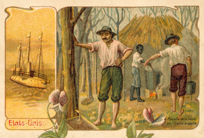 Juharnedv betakarítás juharszirup készítéséhez, Egyesült Államok (chromolitho) alkotó: French School