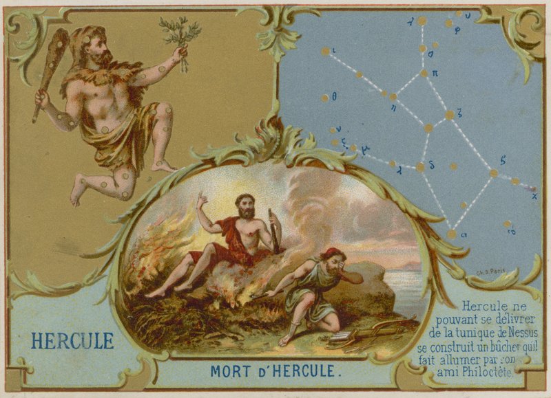 Herkules alkotó: French School
