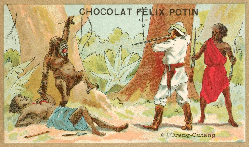 Orangután vadászat (chromolitho) alkotó: French School