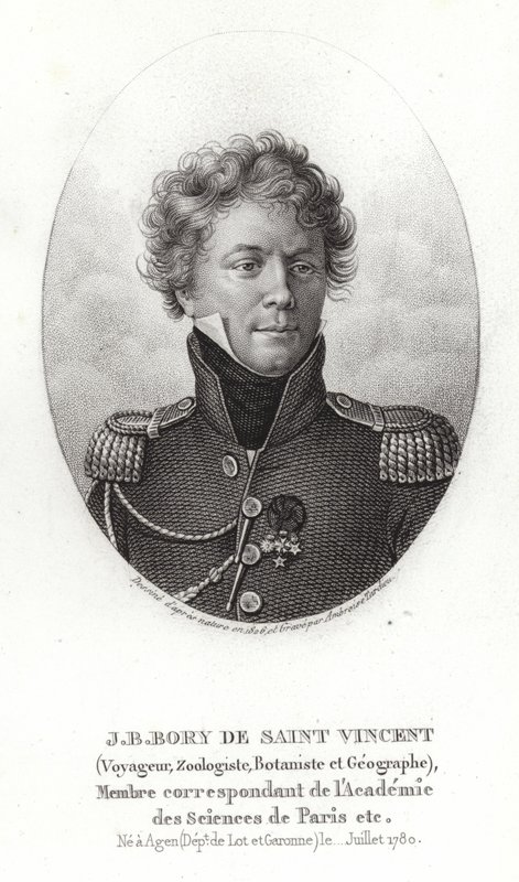 Saint-Vincent-i Jean-Baptiste Bory alkotó: French School