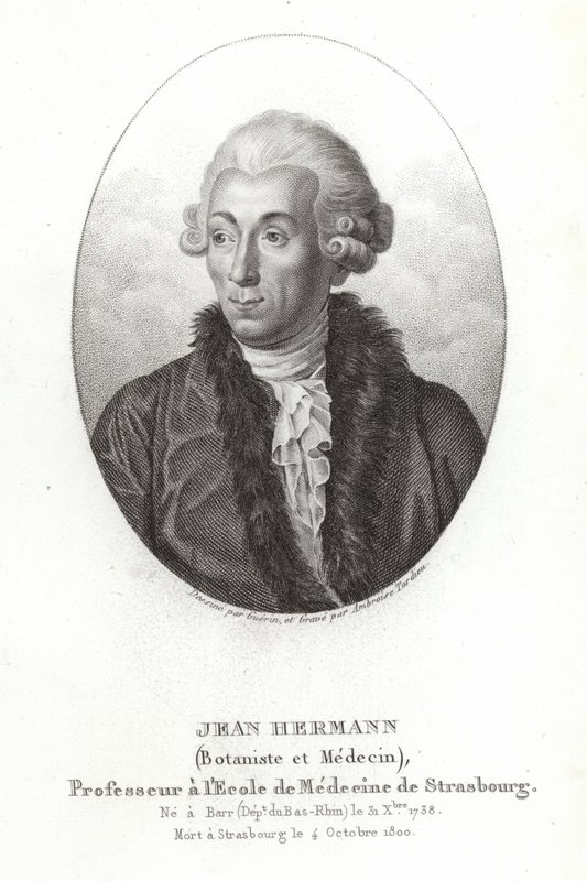Jean Hermann alkotó: French School