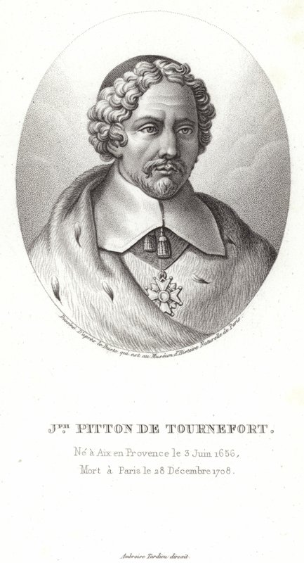 Joseph Pitton de Tournefort alkotó: French School