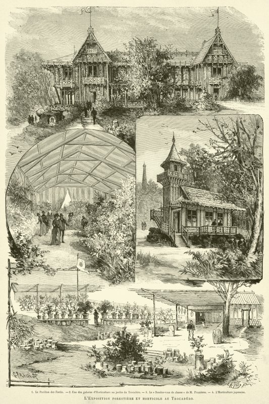 Erdészeti és kertészeti kiállítás a Trocaderoban (metszet) alkotó: French School